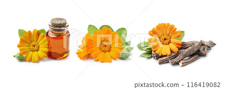 Set of marigold flower on white backgrounds Set of marigold flower on white backgrounds 116419082