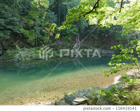 嵐山溪谷（埼玉縣嵐山町） 116419141