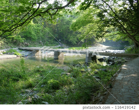 嵐山溪谷(埼玉縣嵐山町) 嵐山溪谷(埼玉縣嵐山町) 116419142