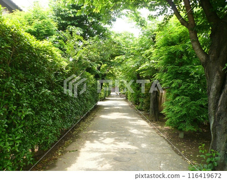 Ryumonji Temple (Saitama City, Saitama Prefecture) Ryumonji Temple (Saitama City, Saitama Prefecture) 116419672