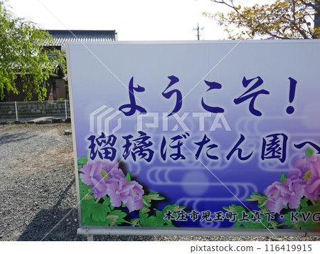 Lapis Lazuli Peony Garden (Honjo City, Saitama Prefecture) 116419915