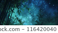 竹林的剪影和夜空中閃爍的星星 116420040