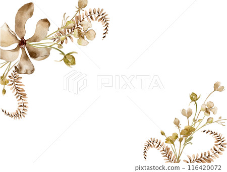 Floral in sepia monochrome watercolor on template. Flower, fern in beige color hand drawn isolated on white. Abstract plants neutral painted. Design of branding, printed products, card, invitation 116420072