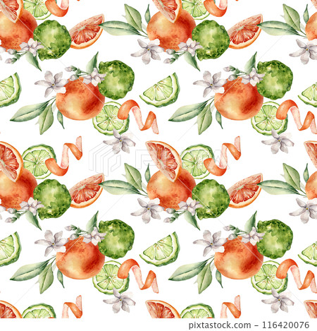 Jasmine flowers with citrus fruits grapefruit and bergamot watercolor seamless pattern isolated. Hand drawn summer plants orange and green colors in botanical sketch style for wrapping paper, textile Jasmine flowers with citrus fruits grapefruit and bergamot watercolor seamless pattern isolated. Hand drawn summer plants orange and green colors in botanical sketch style for wrapping paper, textile 116420076