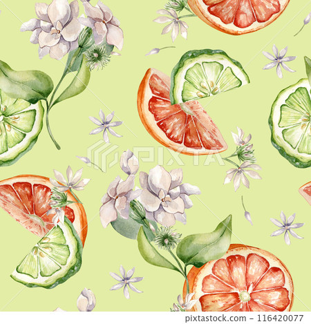 Half bergamot and orange watercolor seamless pattern isolated. Citrus slices and jasmine plants. Hand drawn assorted fruits and flowers in botanical sketch for summer floral print, package, textile 116420077