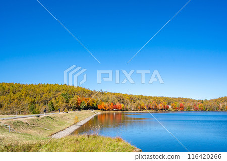 神女湖：高原湖泊，湖面映襯著優美的山景。 116420266