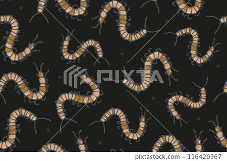 Vector seamless pattern with scary centipedes on the black background. Texture with cartoon julida. Fabric with millipede insect. 116420367