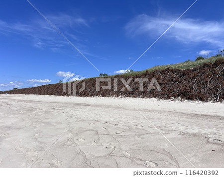 Photograph taken at Nida Neringa beach, Lithuania near Russia 116420392