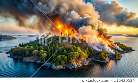 Forest fires on an island near the sea 116420524