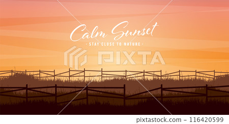 Meadow silhouettes with grass and old wooden fence. Countryside, panoramic summer lawn rural landscape with herbs, weeds. Agriculture and farming. Summer sunset in nature. Vector illustration 116420599