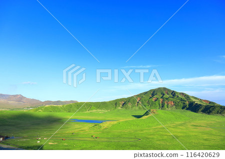 [Kumamoto Prefecture] Fresh greenery at Kusasenrihama Beach (Mount Aso) 116420629