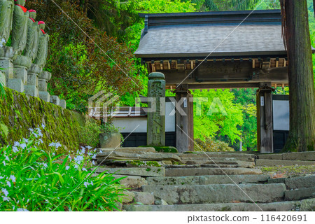 Saifukuji Temple in early summer [Shiojiri City] 116420691