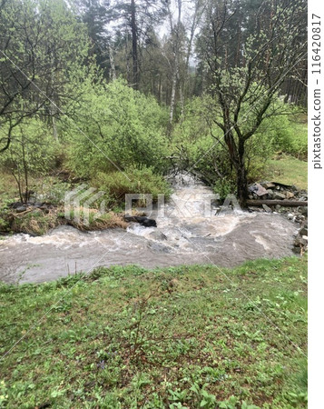 Picturesque riverside scene with lush trees and distant mountains Picturesque riverside scene with lush trees and distant mountains 116420817