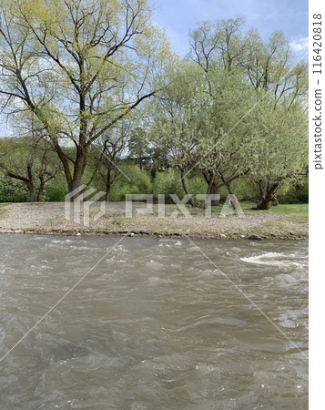 Sunny River Landscape with Green Trees, White Clouds, Blue Sky, Rocks on Bank Sunny River Landscape with Green Trees, White Clouds, Blue Sky, Rocks on Bank 116420818