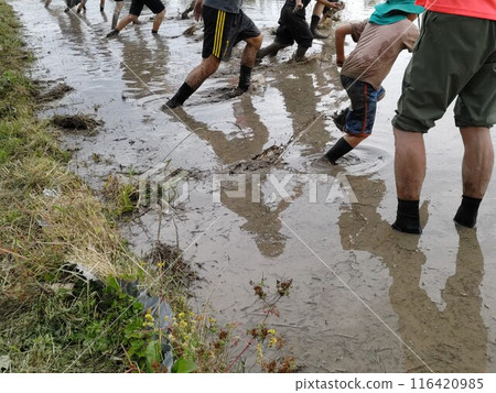 Farming rice fields with parents and child Farming rice fields with parents and child 116420985