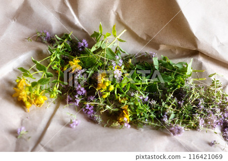 St Johns wort and Thyme fresh flowers drying 116421069