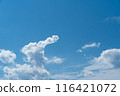 Summer blue sky and white clouds 116421072