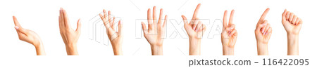 Set of woman hands showing different gestures, pointing and showing signs 116422095
