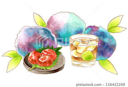 Illustration of pickled plums, plum wine and hydrangea 116422209