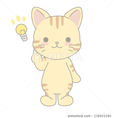 Brown tabby cat with inspiration 116422292