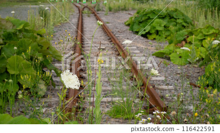 Rumoi Line Remains 116422591