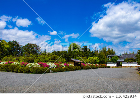 【京都風景】瑞心院的杜鵑花 【京都風景】瑞心院的杜鵑花 116422934