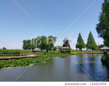 Akebonoyama Agricultural and Forestry Park (Kashiwa City, Chiba Prefecture) 116422954