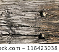 Wood grain on the ground of a bridge near a lake 116423038