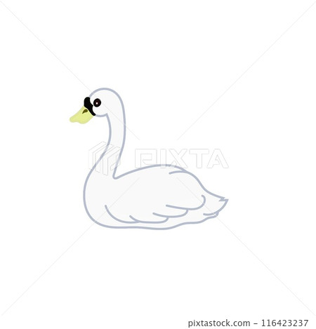 swan illustration 116423237