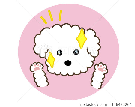 Dog with beautiful eyes 116423264