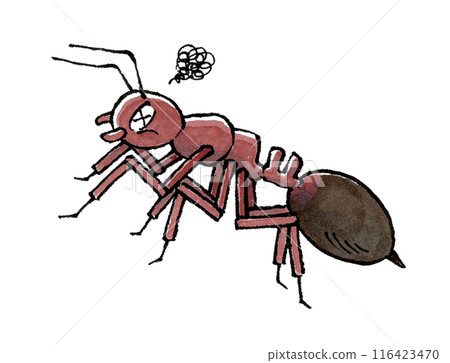 Dying fire ants Dying fire ants 116423470