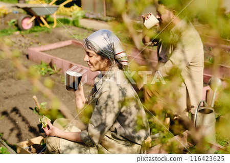 Having snack and drink behind tree 116423625