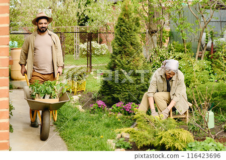Mature couple working in the garden 116423696