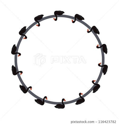 Black swan circular decorative frame illustration Black swan circular decorative frame illustration 116423782