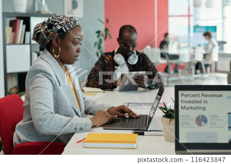African American Woman Working on Laptop in Office African American Woman Working on Laptop in Office 116423847
