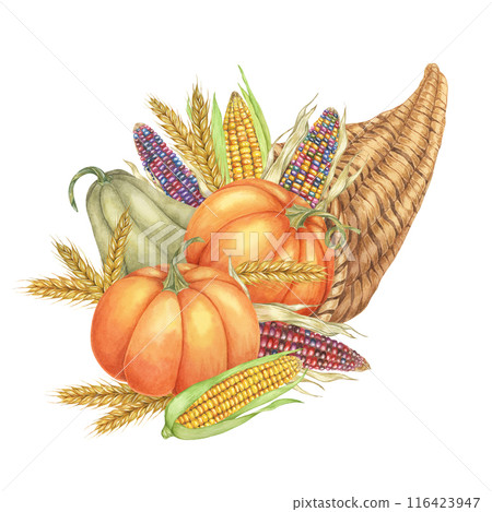 Cornucopia clipart overflowing with pumpkins, multicolored corn cobs, wheat stalks. Watercolor design element for Thanksgiving and autumn projects, greeting cards, posters, kitchen decor, scrapbooking 116423947
