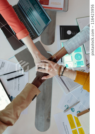 Diverse Hands Joined Over Desk in Office Environment Diverse Hands Joined Over Desk in Office Environment 116423956