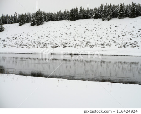 Yellowstone Winter Snow Madison River 116424924