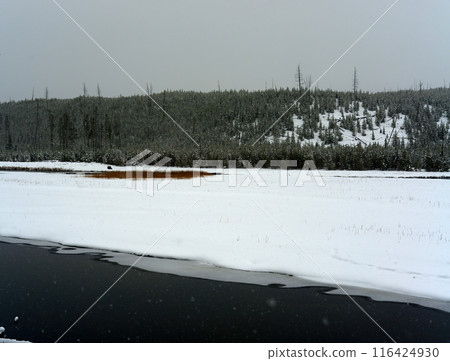 Yellowstone Winter Snow Madison River Yellowstone Winter Snow Madison River 116424930