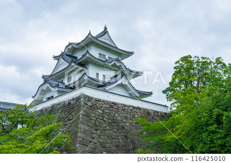 三重縣,雨季後的伊賀上野城 三重縣,雨季後的伊賀上野城 116425010