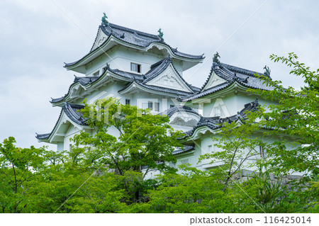 三重縣，雨季後的伊賀上野城 116425014