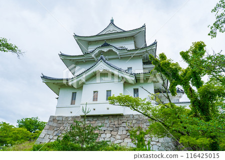 三重縣,雨季後的伊賀上野城 三重縣,雨季後的伊賀上野城 116425015