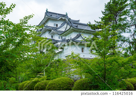 三重縣,雨季後的伊賀上野城 三重縣,雨季後的伊賀上野城 116425016