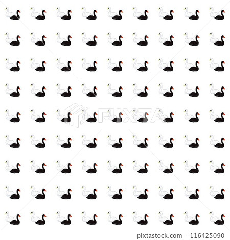 天鵝與黑天鵝壁紙插畫 116425090