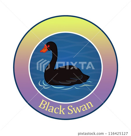 Black swan emblem illustration 116425127