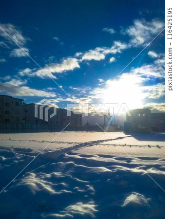 大地被雪覆蓋 大地被雪覆蓋 116425195