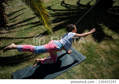 Woman practicing yoga outdoors on a sunny day performing a balancing pose on a yoga mat in a serene garden setting Woman practicing yoga outdoors on a sunny day performing a balancing pose on a yoga mat in a serene garden setting 116425245