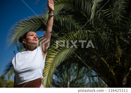 Woman practicing outdoor yoga under palm tree on a sunny day 116425311