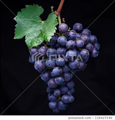 Grape 116425546