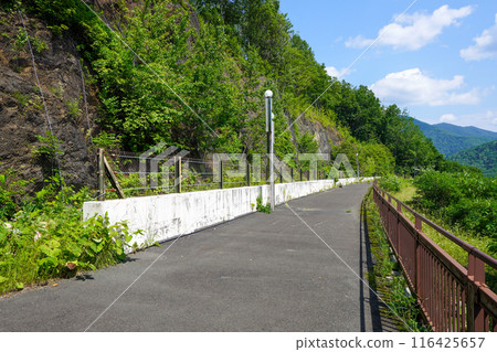 Kanayama Dam Observation Deck (Kanayama Lake Observation Deck 116425657